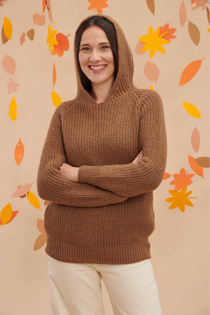 Pull en laine à capuche