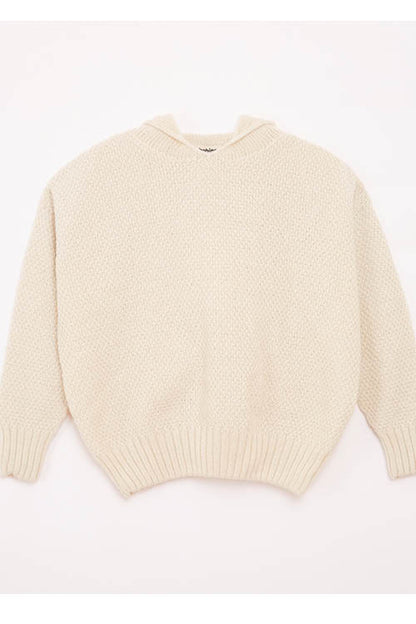 Pull à capuche laine recyclée Louise